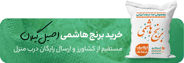خرید برنج هاشمی گیلان از فروشگاه محلی یآرجان