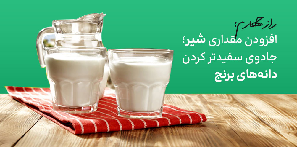راز سفید شدن دانه های برنج با افزودن شیر